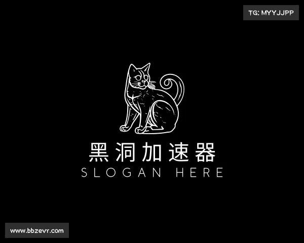 了解黑洞加速器